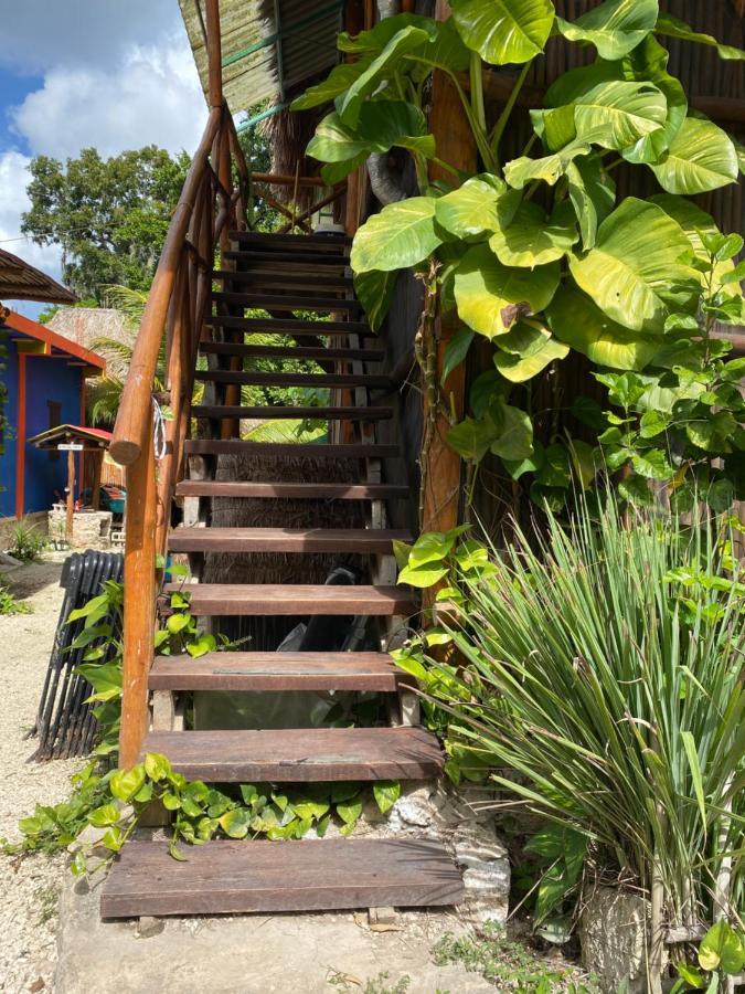 Apartmán Malinche Cafe In Coba Tulum Exteriér fotografie